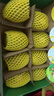 佳沛（zespri）新西兰阳光金奇异果 8个装 特大果单果重约122-146g 水果猕猴桃 实拍图