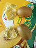 佳沛（zespri）新西兰 阳光金奇异果12粒礼盒特大果单果约122-146g 猕猴桃 水果 实拍图
