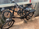 飞鸽折叠自行车20英寸非变速男女式成人学生青少年儿童城市休闲单车 实拍图