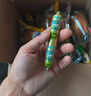 金锣火腿肠 肉粒多香肠 30g*8支/袋 休闲零食出游露营烧烤肠 实拍图