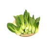 【苗苗菜】上海青苗250g 实拍图