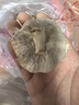 京鲜生山东金乡大蒜带皮新鲜干蒜净重1斤单果5.5-6cm 源头直发包邮 实拍图