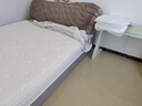 亚朵酒店同款静音独立弹簧床垫1.5m1.8x2米乳胶席梦思椰棕床垫子 袋装弹簧+海绵(20cm厚) 90x200cm【适用0.9mx2m床】 实拍图