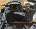 尼康（Nikon）Z7II（Z7 2/Z72）全画幅微单机身 微单机身（约4,575万有效像素 5轴防抖）  实拍图