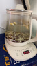 小熊（Bear）养生壶 煮茶壶 恒温水壶 保温烧水一体电热水壶花茶壶 316L不锈钢 1.5L大容量 YSH-J15H8 实拍图