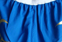 九日山 专业散打服 龙服 比赛训练服装 散打裤 短裤背心 武术练功服 男款蓝色 L 实拍图