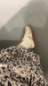 TOOMANYSHOES德训鞋女新款平底休闲运动小白鞋百搭透气板鞋复古阿甘鞋虚拟恋人 米白（休闲鞋） 37 实拍图