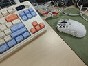 狼蛛S3187无线蓝牙有线三模键盘真机械手感键盘 RGB灯效 多功能旋钮 gasket结构f办公游戏电脑键鼠套装 沐雪橙【三模】-键鼠套装 实拍图
