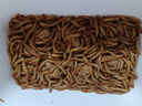 KERRY面包虫活体饲料黄粉虫鸟鱼龟蜥蜴金龙鱼鬃狮蝎子守宫食物幼体幼虫 试吃装400条镊子麦麸【80%选择】 实拍图