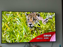 海信电视小墨E5Q Pro 65英寸超画质U+Mini LED 信芯芯片 墨晶屏300Hz 65E5Q-PRO E5NPRO+升级国家补贴 实拍图