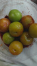 京逸现货现摘李子新鲜三月李应季青李子酸脆珍珠李三华李孕妇水果整箱 3斤|中果【单果约新1元硬币大】 现摘现发+辣椒盐 实拍图