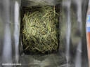 京东京造 2025新茶安吉白茶绿茶纸包100g白叶一号珍稀白茶叶自营送礼自饮 实拍图