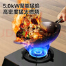 康佳（KONKA）燃气灶煤气灶台式双灶家用 5.0kW液化气66%高热效率双灶具 黑色玻璃面板灶台 JZY-T526Y（液化气） 实拍图