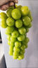 京营觅选阳光玫瑰葡萄晴王香印提子 当季新鲜时令新鲜水果中秋水果 净重2.5斤单粒9-15g 山西阳光玫瑰葡萄 实拍图