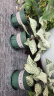 九千谷花盆加仑盆塑料花盆家用园艺种植小花盆带托盘14*14cm 2个装5051 实拍图