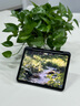 图拉斯【全新升级丨销额第一】2025iPadPro新款Mini7钢化膜 Air7第11代/10/6平板保护AR高清抗蓝光抗指纹 【iPad Pro】12.9英寸 【顶配升级版】 实拍图
