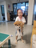 京东京造 鲜肉狗粮无谷全价狗粮小型犬粮7kg泰迪比熊博成犬 实拍图