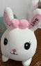蓓斯曼【当次日达】毛绒玩具女生公仔趴趴兔子睡觉抱枕布娃娃玩偶陪睡生日礼物送女生夹腿布偶女孩儿童抱枕 粉色生日快乐蝴蝶结兔 1米 实拍图