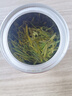 西湖工夫2025新茶叶绿茶【老茶树龙井】明前特级A春茶自己喝20g父亲节礼物 实拍图