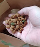 耐威克耐威克狗粮 莱茜肉松全价犬粮200g 鸭肉梨配方清热降火 实拍图
