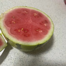 京营觅选麒麟西瓜 现摘新鲜美都西瓜【JD顺丰-送货上门】头茬冰糖西瓜 1个装 【单果4-5斤】防摔包装 实拍图