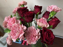 钟爱云南昆明基地直发鲜切花家庭水养插花花束生活鲜花玫瑰康乃馨 10支随机色玫瑰+10支康乃馨 实拍图