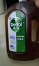 滴露（Dettol）消毒液消毒水1.2L衣物除菌液家居宠物环境地板杀菌除螨 非84酒精 实拍图