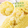京鲜生 东北白糯玉米230g*8棒 新鲜甜糯玉米棒真空包装粘玉米 源头直发 实拍图