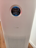 美的（Midea）【母婴医护双认证】甲醛数显空气净化器除烟味异味过敏源宠物吸猫毛空气消毒机森林家LM1P国家补贴 实拍图