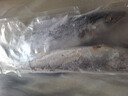 盖世 鲅鱼冷冻一斤装  2条 海鲜鲅鱼 生鲜烹饪食材 水产 实拍图