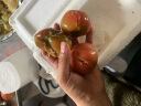 铁皮柿子草莓西红柿绿腚柿子现摘现发 小果40g起 试用款 2斤 带箱 实拍图