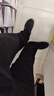 罗蒙（ROMON）休闲裤男商务休闲时尚职业西装裤弹力修身百搭裤子男装黑色31 实拍图