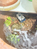 森森（SUNSUN）耀蓝鱼缸水泵小型潜水泵过滤泵抽水泵YQP-2500 40W 实拍图