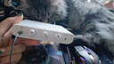 midiplus外置声卡迷笛Routist R2 OTG GEN II直播设备手机电脑唱歌主播录音独立专业全套 单声卡 迷笛 R2+得胜K600 实拍图