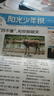 【一月一发】阳光少年报杂志订阅2025年7月-2026年6月 月投 1年共42期 杂志铺（先发“杂志订阅清单”） 实拍图