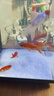 HANYANG白晶沙水草鱼缸底砂雨淋化妆白色造景细沙免洗龟缸水族养鱼1kg 实拍图