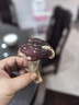 飞科（FLYCO）电吹风机负离子家用大功率不伤发吹风筒宿舍学生便携可折叠 【1800W可折叠】淡粉色 实拍图