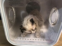 霍曼宠物智能烘干箱 猫咪烘干机狗狗全自动吹干箱底部出风循环换气 实拍图