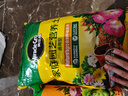 美乐棵 多肉营养土养花家庭园艺植物花土花肥肥料盆栽种植多肉专用土6L 实拍图