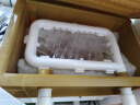 创宁变频潜水泵 CN-9500-13W 10档流量调节 鱼缸假山喷泉池循环抽水 实拍图