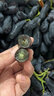 芬岚【顺丰隔日达】新鲜手指葡萄正宗蓝宝石美人无籽黑河北葡萄 净重4斤+防震葡萄袋 老农精选-顺丰配送上门 实拍图