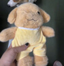 贝尚星 生日礼物女森贝儿贵宾犬玩偶娃娃狗狗公仔男毛绒玩具小鼻嘎26cm 实拍图