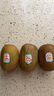 佳沛（zespri）新西兰  阳光金奇异果巨大果22粒原箱 单果重约144-175g 猕猴桃 实拍图