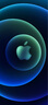Apple 苹果 iPhone 16/15/14/13/12/11/X系列二手手机商品详情见质检报告 苹果 iPhone 15 Plus 实拍图