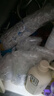 优洁士浴室瓷砖清洁剂玻璃浴缸清洗水龙头不锈钢除垢剂卫浴清洁剂500ml 【钜惠6瓶装】浴室玻璃清洁剂 实拍图