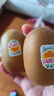 佳沛（zespri）新西兰 新果季 阳光金奇异果33粒原箱单果重约101-114g 猕猴桃 实拍图