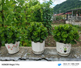 荣耀Magic7 Pro 2亿像素超高清潜望长焦 骁龙8至尊版 3D人脸解锁 16+512 雪域白 国家补贴 5G AI手机 实拍图