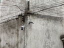 霸天安4G太阳能摄像头 监控室外免插电无需连wifi终身免流量 监控器360度无死角带夜视 全景追踪手机远程 实拍图