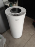 美的（Midea）除湿机/抽湿机 小海绵除湿机 除湿量24升/天 WIFI智控 正负离子除菌 家用轻音除湿器CF24BD/N7-DY 实拍图