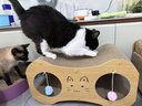 贝初众猫抓板猫窝一体猫抓板窝夏季特大号猫爪板不掉屑猫玩具猫爬架 双洞可钻【55*30*28cm】 大号【20斤内通用】 实拍图